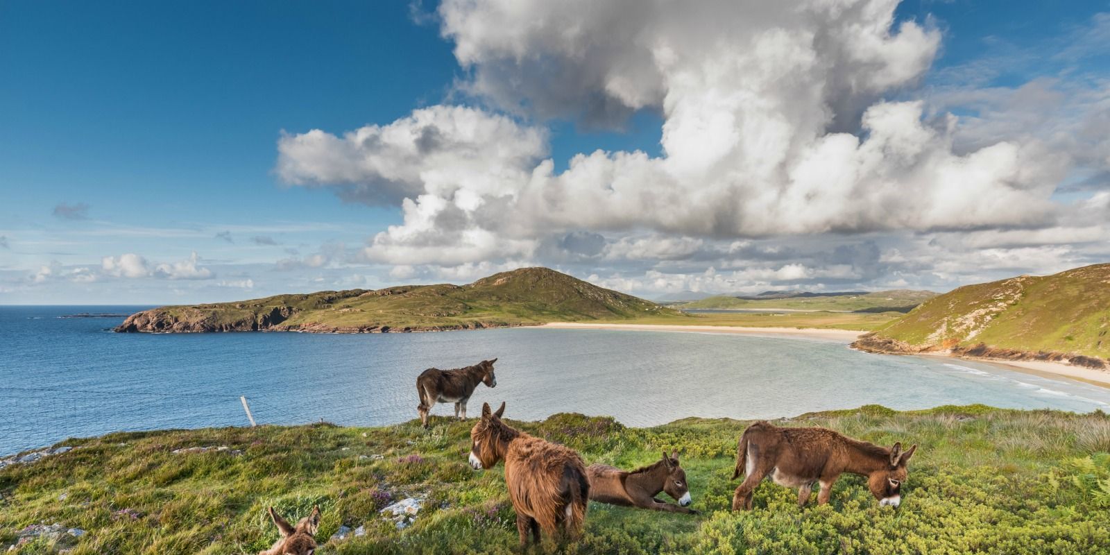 Trana Rossan Bay Rosapenna Hotel