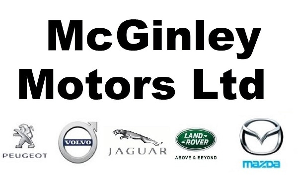 mcginley_motors.jpg (McGinley) mcginley motors